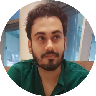 display image of Soumyadip Bhowmik